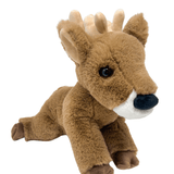 Staggie Deer Plush Douglas Toys