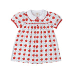 Teachers Pet Plaid Paisley Proper Dress - Sugar Babies Children's Boutique/Meg's Shoppe