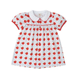 Teachers Pet Plaid Paisley Proper Dress - Sugar Babies Children's Boutique/Meg's Shoppe