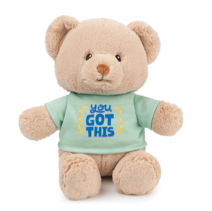 You Got This 12" Bear Plush Gund