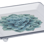 Enamel Succulent Trinket Dish Home Decor Midwest-CBK